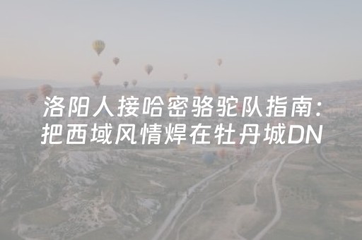 洛阳人接哈密骆驼队指南：把西域风情焊在牡丹城DNA里