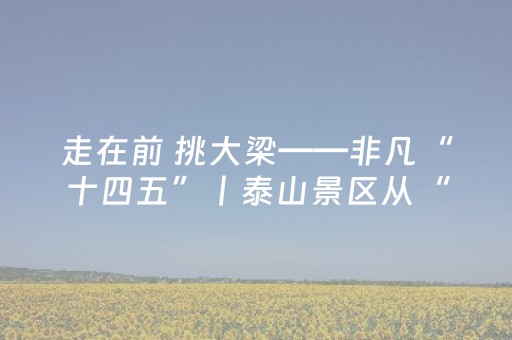 走在前 挑大梁——非凡“十四五”丨泰山景区从“管理”到“服务”华丽转身 打造双向奔赴的文旅新体验