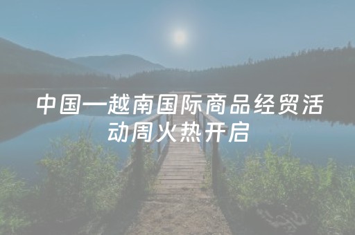 中国—越南国际商品经贸活动周火热开启