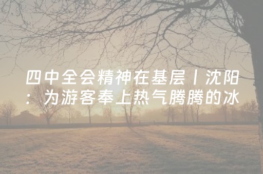 四中全会精神在基层丨沈阳：为游客奉上热气腾腾的冰雪盛宴