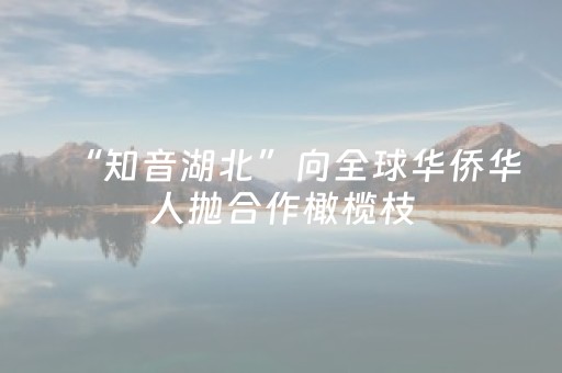 “知音湖北”向全球华侨华人抛合作橄榄枝