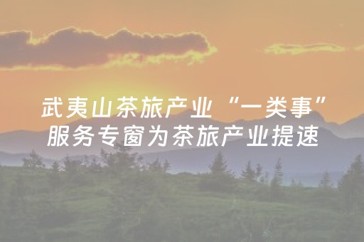 武夷山茶旅产业“一类事”服务专窗为茶旅产业提速