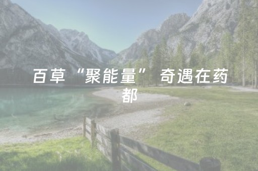 百草“聚能量” 奇遇在药都