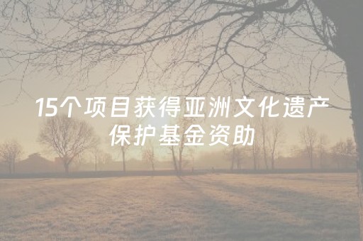 15个项目获得亚洲文化遗产保护基金资助