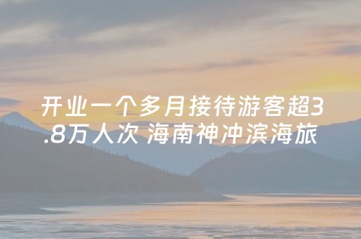 开业一个多月接待游客超3.8万人次 海南神冲滨海旅游项目盘活“空心村”