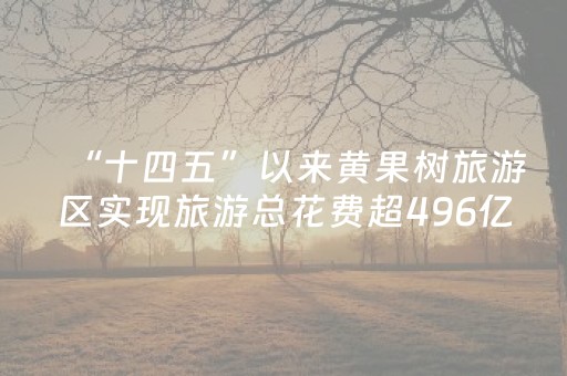 “十四五”以来黄果树旅游区实现旅游总花费超496亿元 旅游产业高质量发展