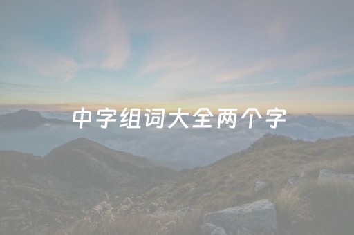 中字组词大全两个字（中的两个字的组词）