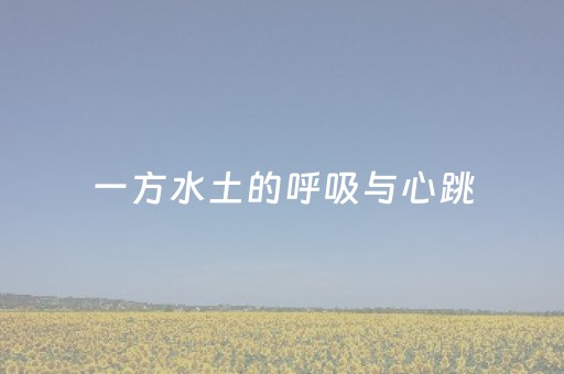 一方水土的呼吸与心跳（文旅棱镜）