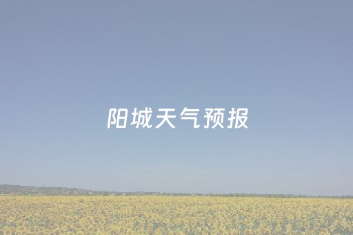阳城天气预报（阳城天气预报40天）