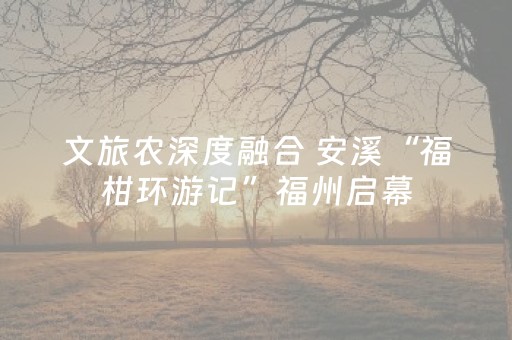 文旅农深度融合 安溪“福柑环游记”福州启幕