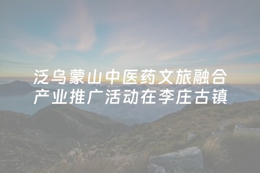 泛乌蒙山中医药文旅融合产业推广活动在李庄古镇举行