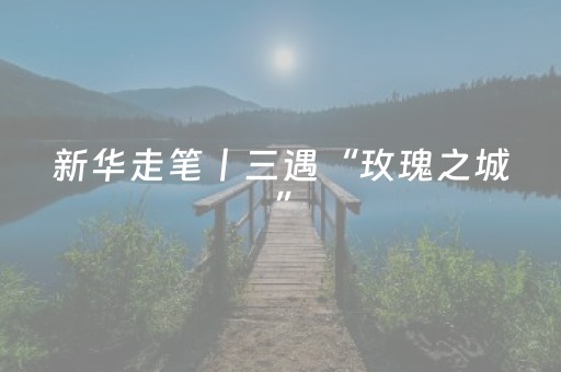 新华走笔丨三遇“玫瑰之城”