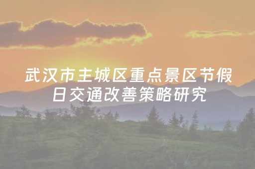 武汉市主城区重点景区节假日交通改善策略研究