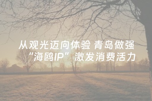 从观光迈向体验 青岛做强“海鸥IP”激发消费活力