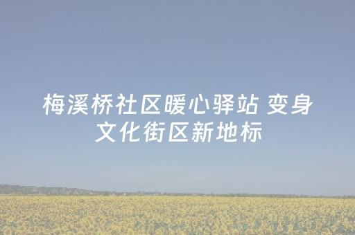 梅溪桥社区暖心驿站 变身文化街区新地标