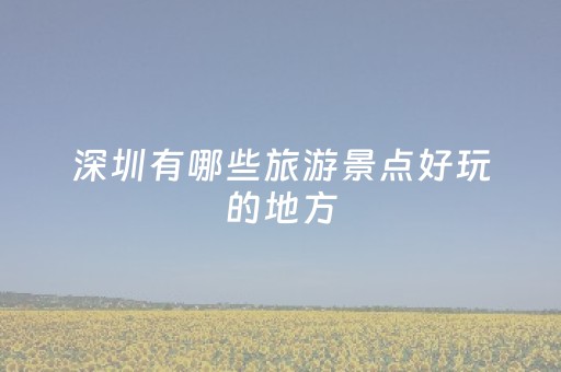 深圳有哪些旅游景点好玩的地方（深圳有哪些好玩的旅游景区）