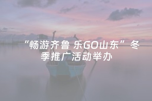“畅游齐鲁 乐GO山东”冬季推广活动举办