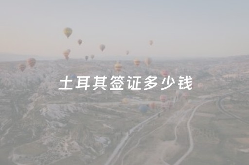 土耳其签证多少钱（土耳其签证多少钱?）
