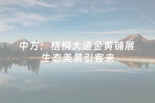 中方：梧桐大道金黄铺展 生态美景引客来