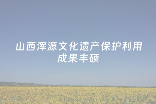 山西浑源文化遗产保护利用成果丰硕