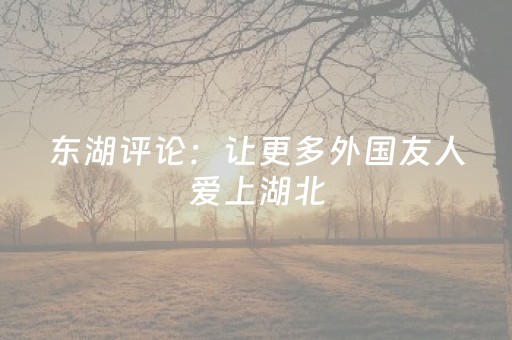 东湖评论：让更多外国友人爱上湖北