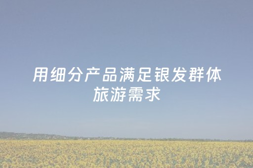 用细分产品满足银发群体旅游需求（市场万花筒）