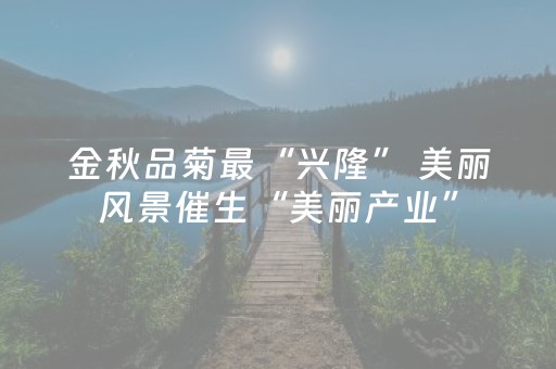 金秋品菊最“兴隆” 美丽风景催生“美丽产业”