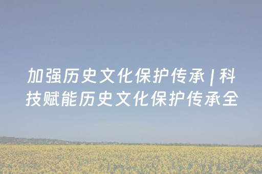 加强历史文化保护传承 | 科技赋能历史文化保护传承全周期