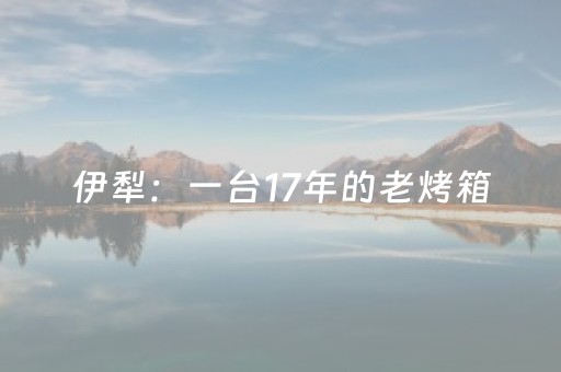 伊犁：一台17年的老烤箱