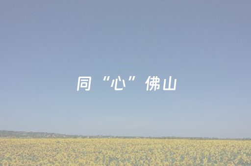 同“心”佛山，湾区共赴｜十五运会在佛山