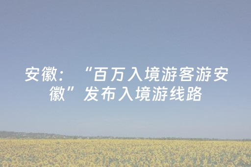 安徽：“百万入境游客游安徽”发布入境游线路