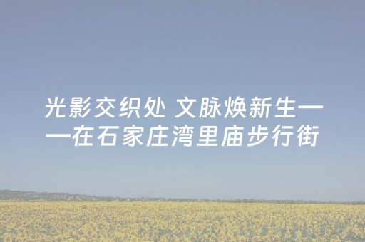 光影交织处 文脉焕新生——在石家庄湾里庙步行街感受传统文化与现代商业的完美融合