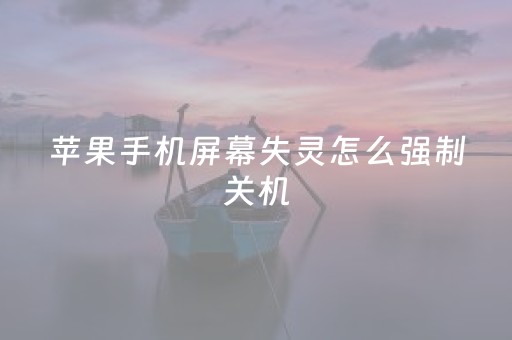 苹果手机屏幕失灵怎么强制关机（苹果手机屏幕失灵怎么强制关机解决不了）