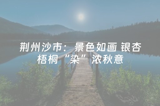 荆州沙市：景色如画 银杏梧桐“染”浓秋意