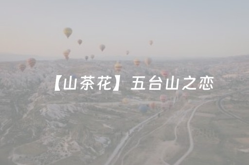 【山茶花】五台山之恋