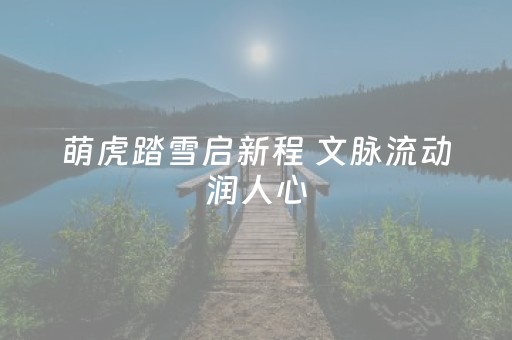 萌虎踏雪启新程 文脉流动润人心