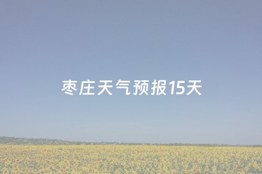 枣庄天气预报15天（枣庄天气预报15天查询结果表）