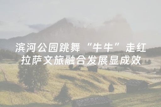 滨河公园跳舞“牛牛”走红拉萨文旅融合发展显成效