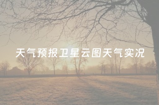 天气预报卫星云图天气实况（天气预报卫星云图实时）