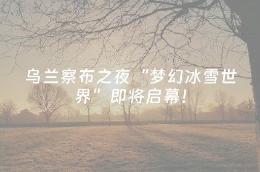 乌兰察布之夜“梦幻冰雪世界”即将启幕！