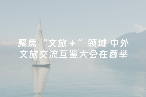 聚焦“文旅＋”领域 中外文旅交流互鉴大会在蓉举行