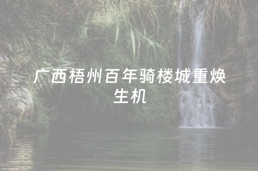 广西梧州百年骑楼城重焕生机