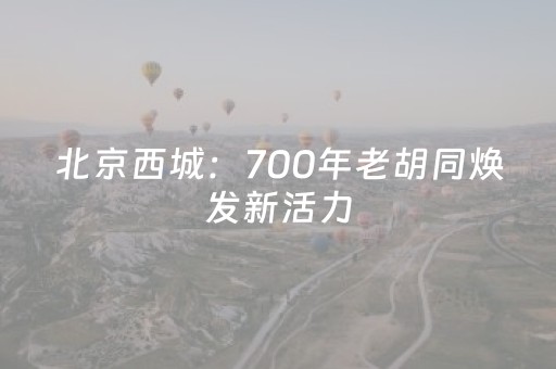 北京西城：700年老胡同焕发新活力