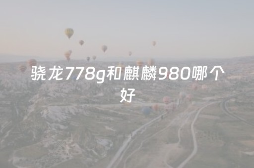 骁龙778g和麒麟980哪个好（高通骁龙778g和麒麟980有多大差别）