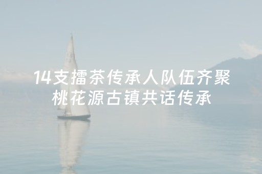 14支擂茶传承人队伍齐聚桃花源古镇共话传承