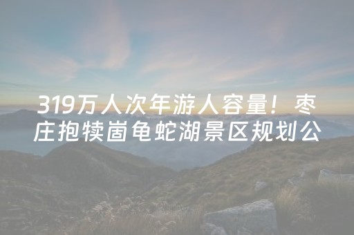 319万人次年游人容量！枣庄抱犊崮龟蛇湖景区规划公示，12年打造山水文旅新标杆