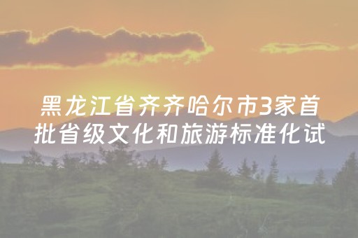 黑龙江省齐齐哈尔市3家首批省级文化和旅游标准化试点单位验收评估合格