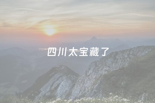 四川太宝藏了