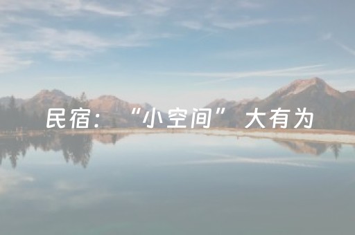 民宿：“小空间” 大有为