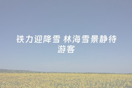 铁力迎降雪 林海雪景静待游客